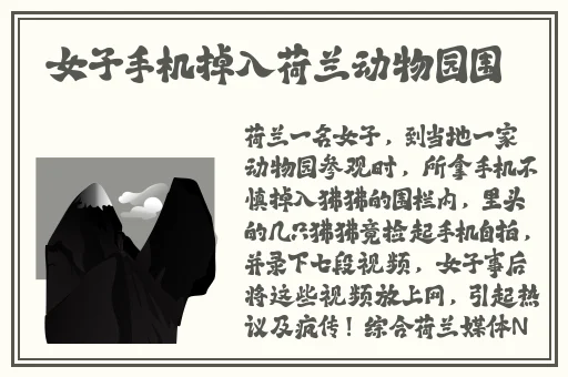 网站你懂我意思吧在线观看的视频